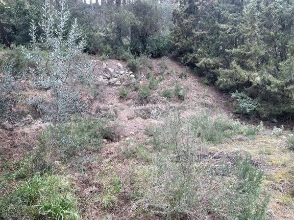 Terreno en Cabrera d'Anoia