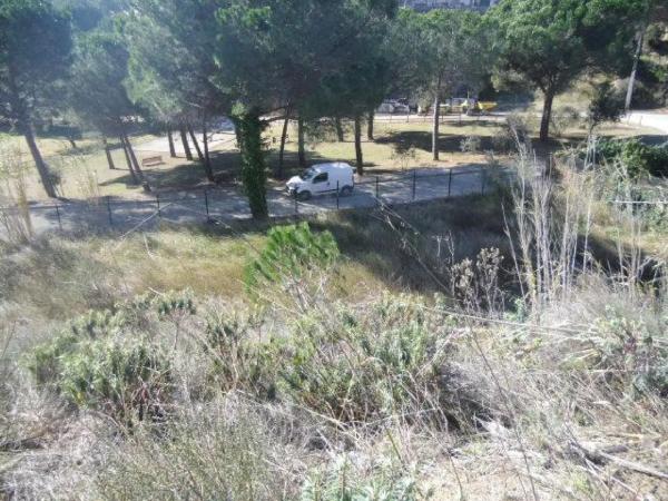 Terreno en calle Virgo