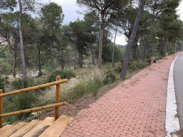 Terreno en calle dels Pins