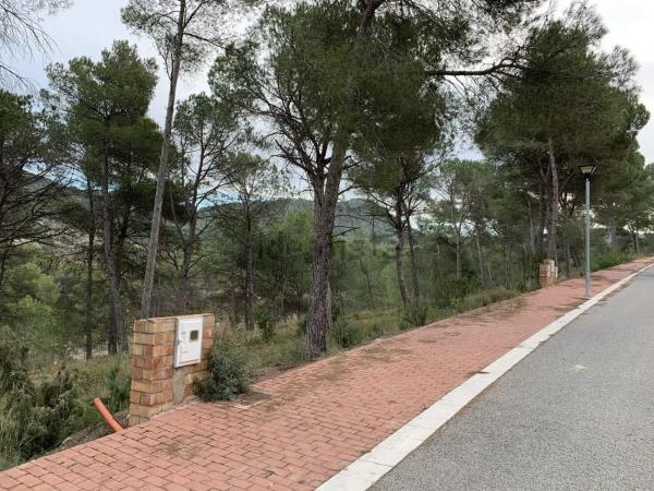 Terreno en calle Roures dels