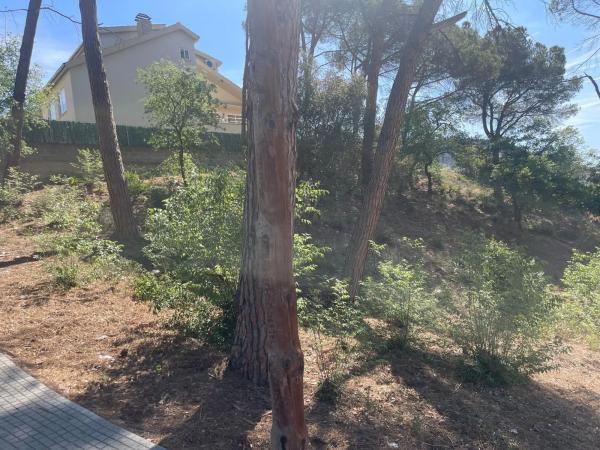 Terreno en La Torre de Claramunt