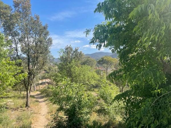 Terreno en La Torre de Claramunt