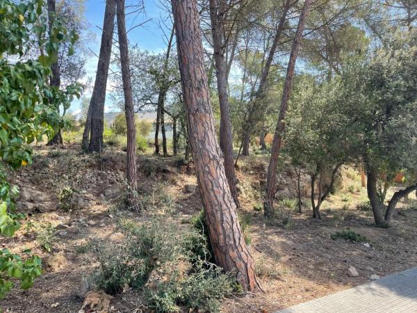 Terreno en La Torre de Claramunt