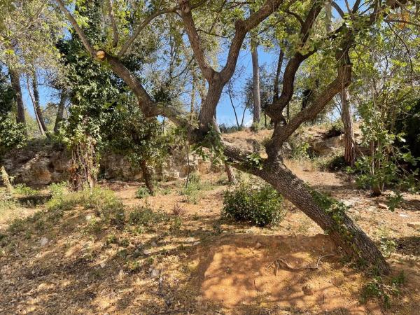 Terreno en La Torre de Claramunt