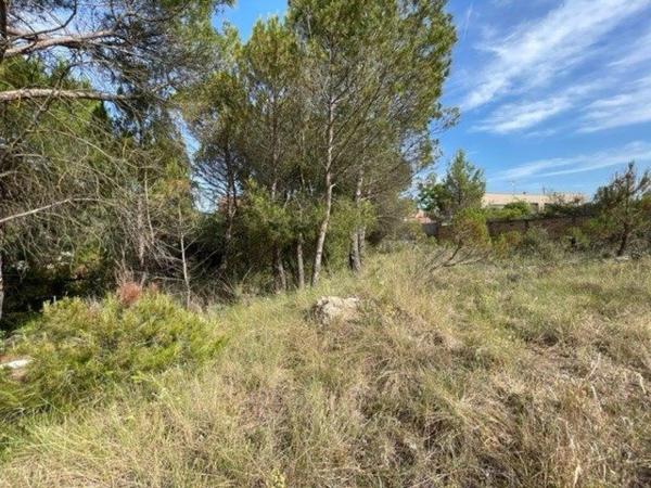 Terreno en La Pobla de Claramunt
