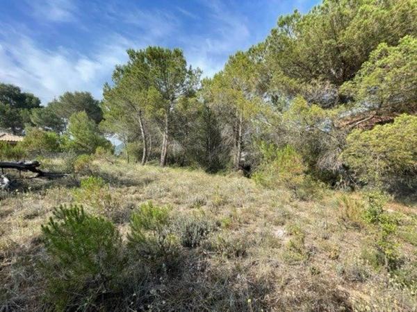 Terreno en La Pobla de Claramunt