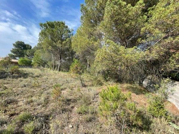 Terreno en La Pobla de Claramunt