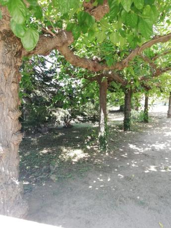 Terreno en La Torre de Claramunt