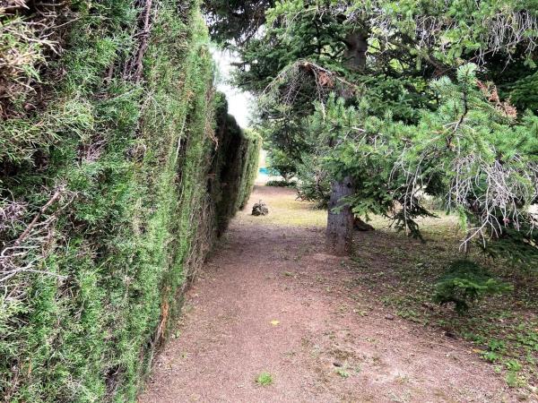 Terreno en La Torre de Claramunt