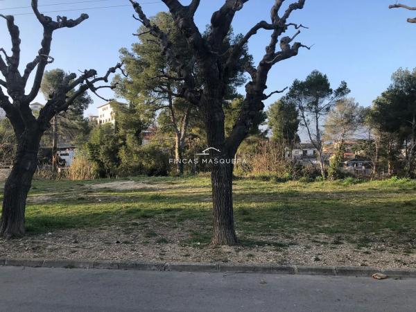 Terreno en calle dels Hostalets s/n