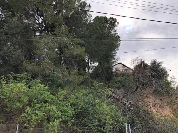Terreno en calle Orses
