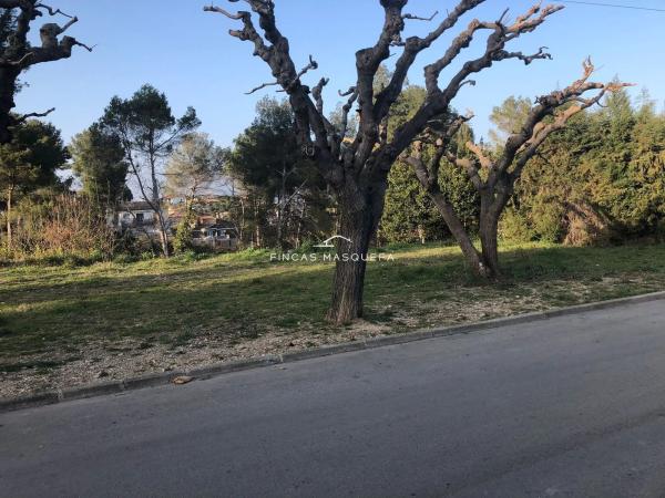 Terreno en calle dels Hostalets s/n