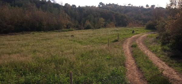 Terreno en Empujariols, km 1