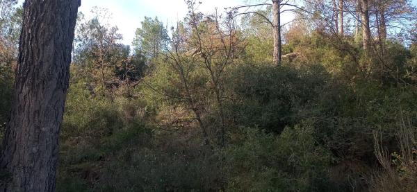 Terreno en Empujariols, km 1