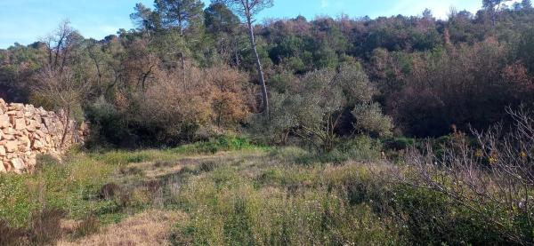 Terreno en Empujariols, km 1