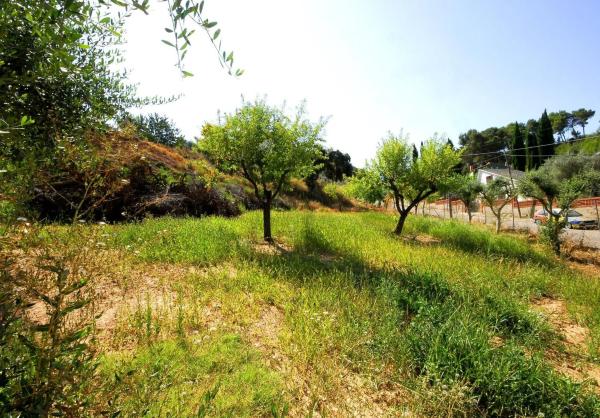 Terreno en Cabrera d'Anoia