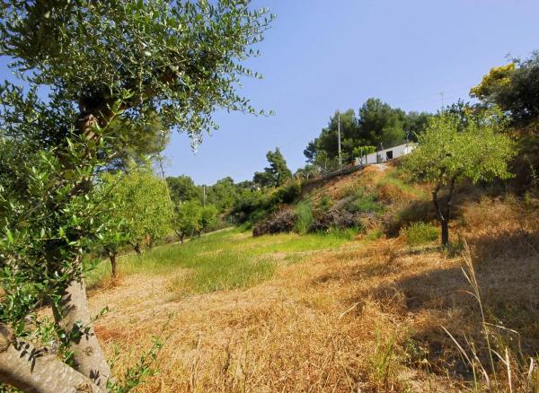 Terreno en Cabrera d'Anoia
