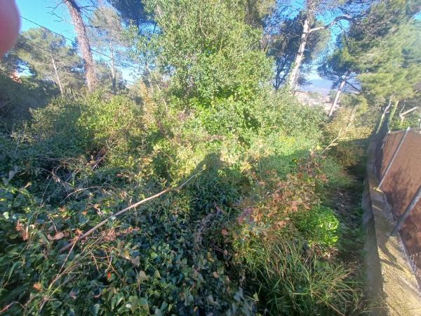 Terreno en calle Joan Miró, 525