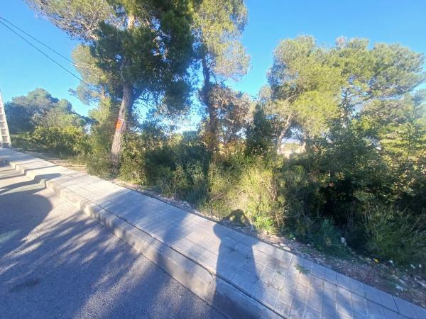 Terreno en calle Joan Miró, 525