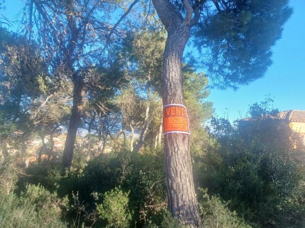 Terreno en calle Joan Miró, 525