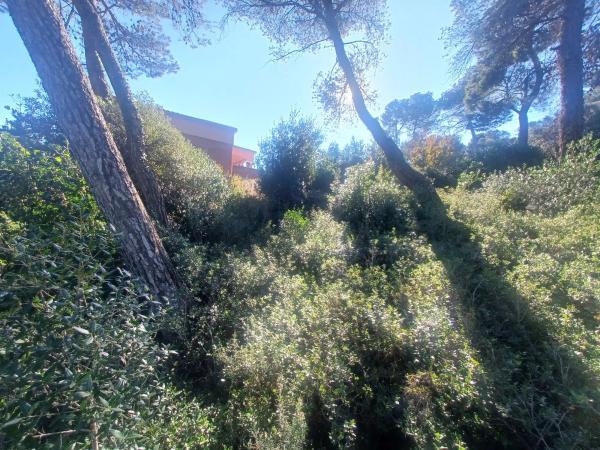 Terreno en calle Joan Miró, 525