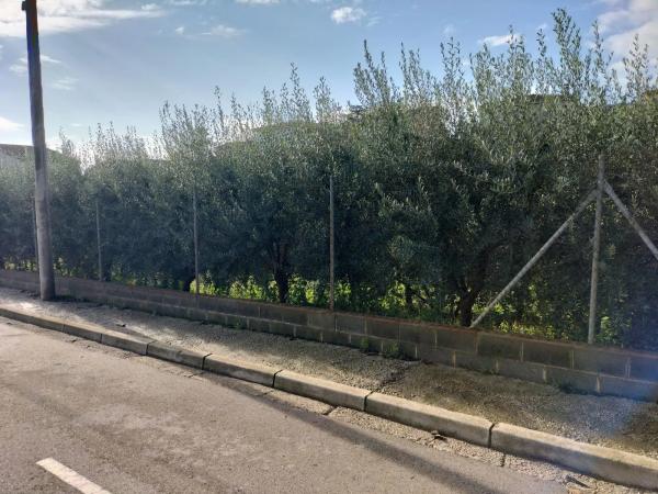 Terreno en Els Hostalets de Pierola