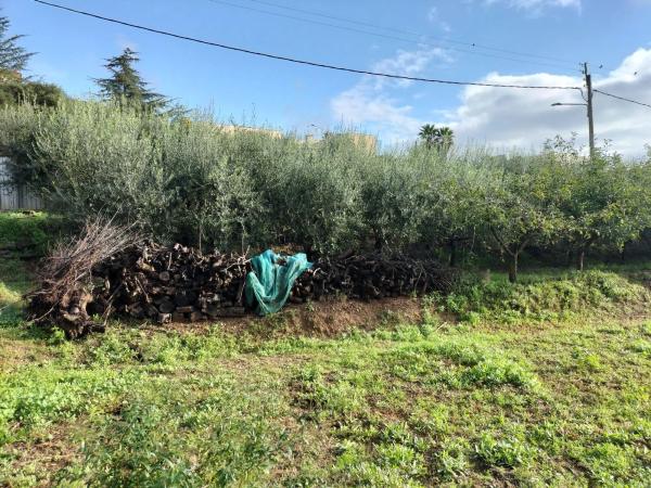 Terreno en Els Hostalets de Pierola