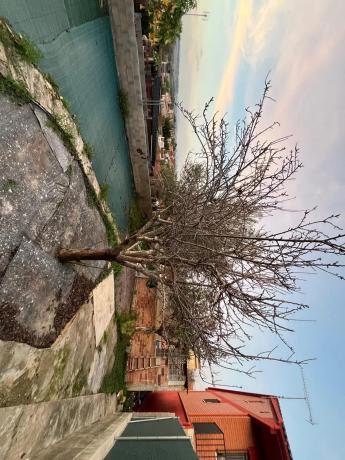 Terreno en ronda de Montserrat