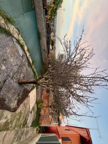 Terreno en ronda de Montserrat