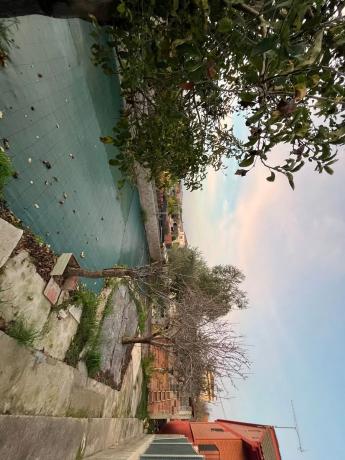 Terreno en ronda de Montserrat