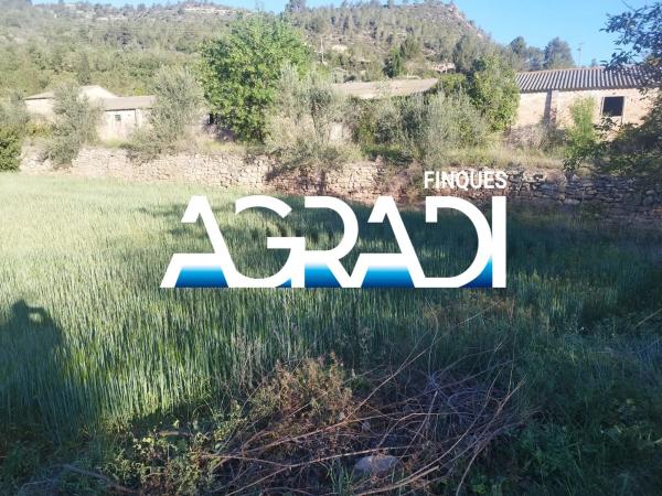 Terreno en calle Sector 10 B, 1