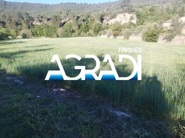 Terreno en calle Sector 10 B, 1