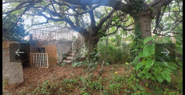 Terreno en carretera nou-c Aguilera s/n