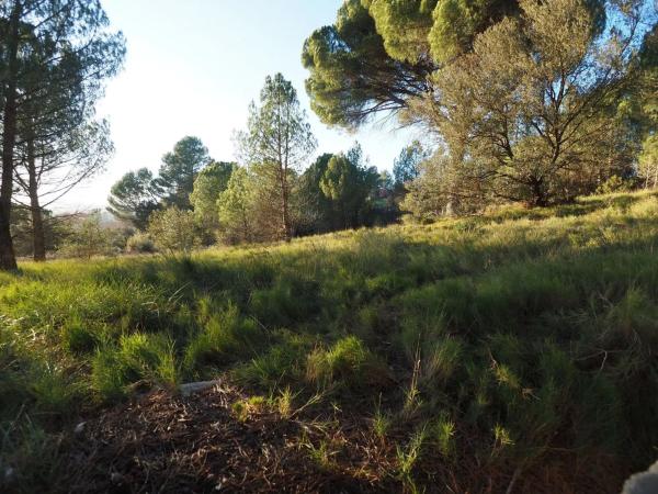 Terreno en calle la Conca de Barberà