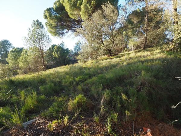 Terreno en calle la Conca de Barberà