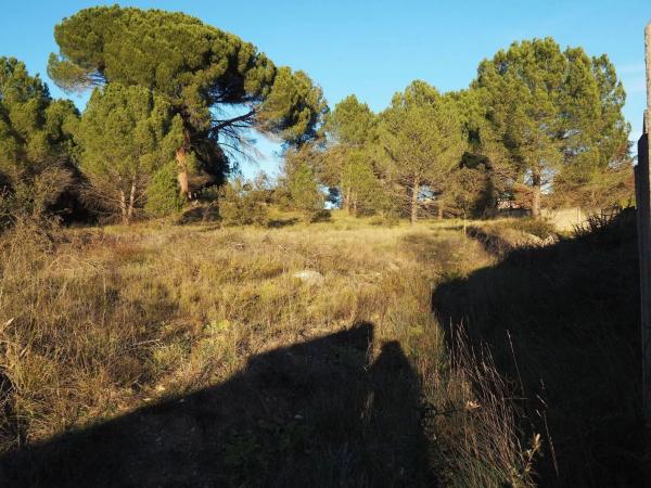 Terreno en calle la Conca de Barberà