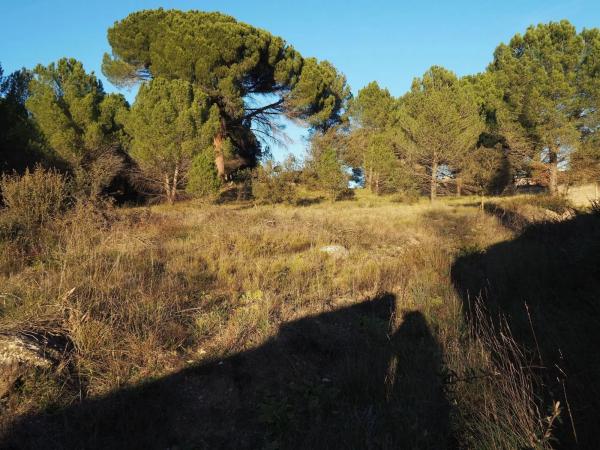 Terreno en calle la Conca de Barberà