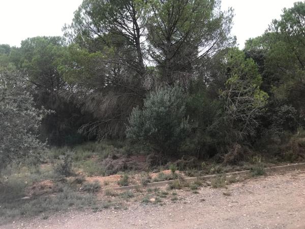 Terreno en El Bruc