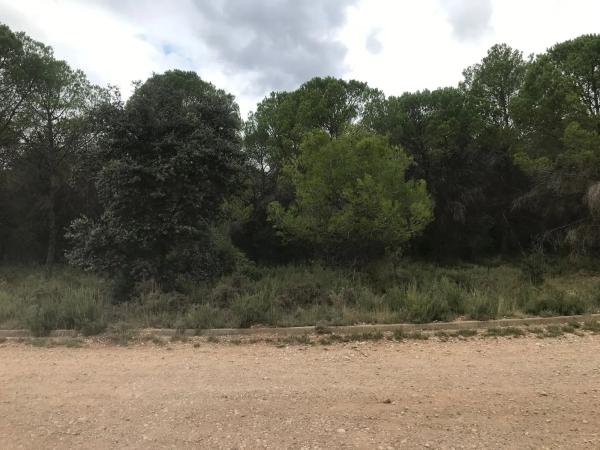 Terreno en El Bruc