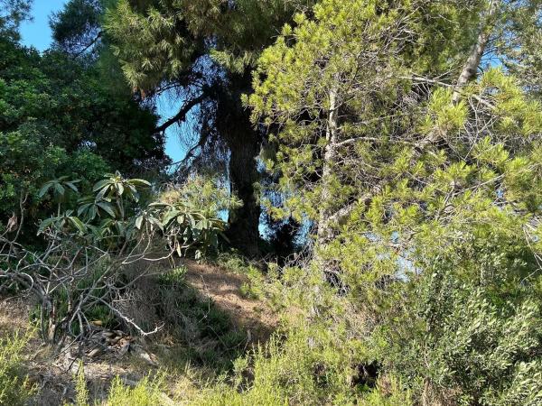 Terreno en avenida de Tibidabo, 17