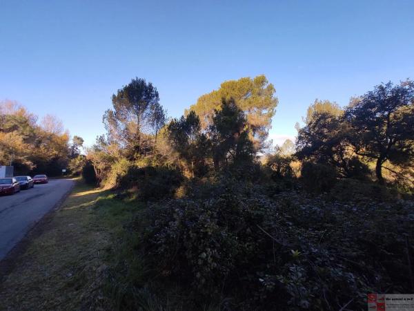 Terreno en calle Cirerer, 50 -40