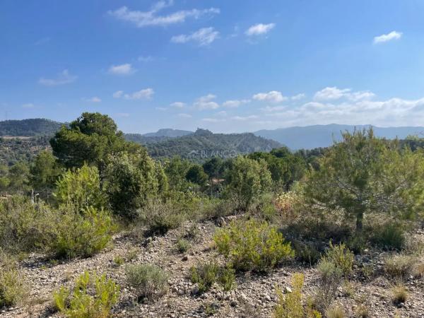 Terreno en La Pobla de Claramunt