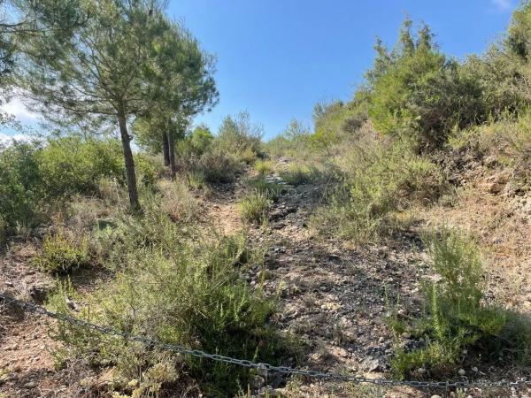 Terreno en La Pobla de Claramunt