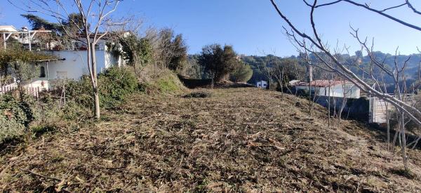 Terreno en calle Rosella, 754