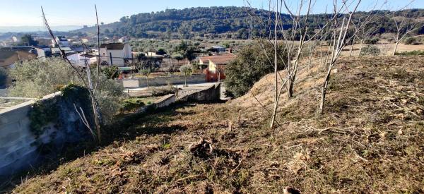 Terreno en calle Rosella, 754