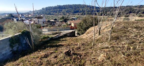 Terreno en calle Rosella, 754