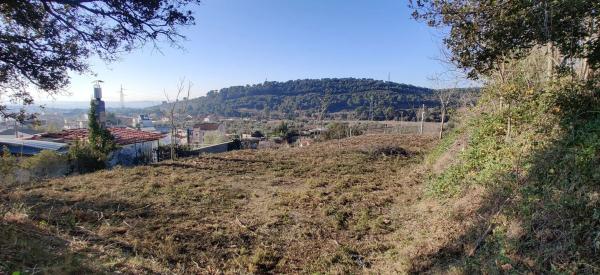 Terreno en calle Rosella, 754