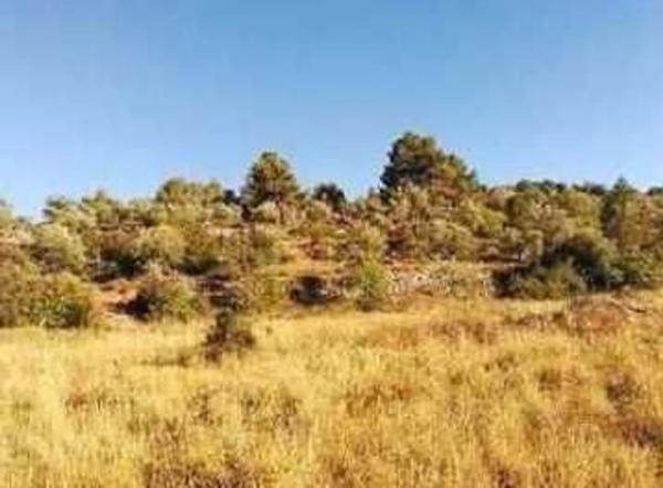 Terreno en Camp Santa Cana