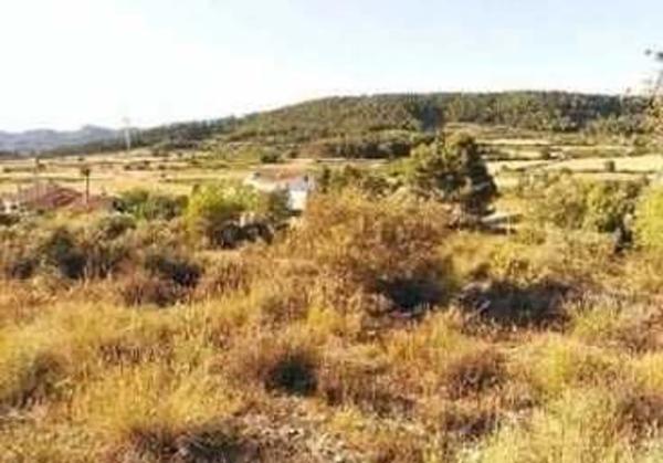 Terreno en Camp Santa Cana