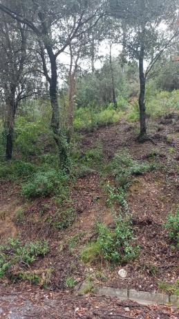 Terreno en calle Italia, 506